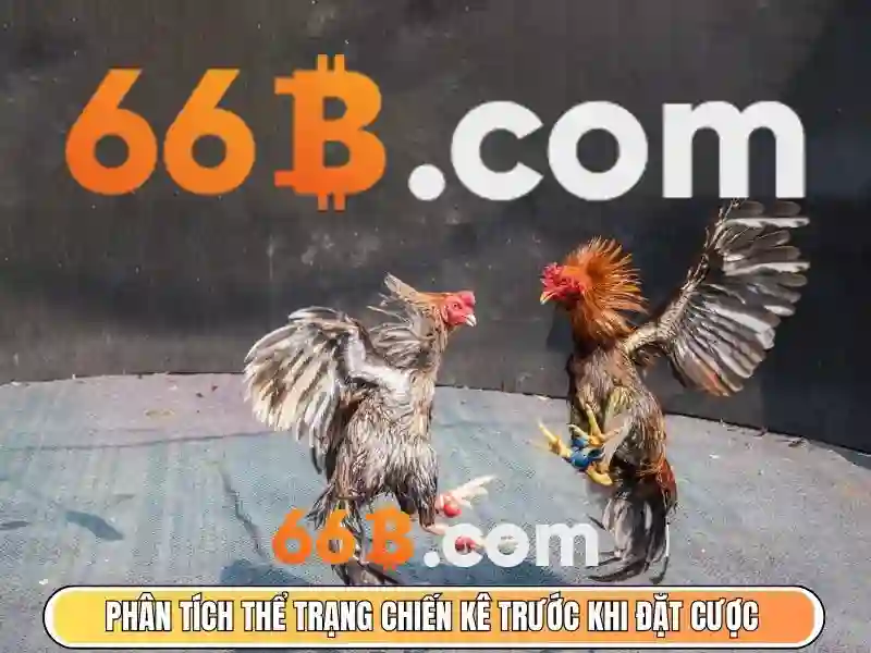 66b: một mô hình ngôn ngữ với quy mô 66 tỷ tham số