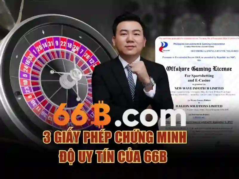 66b: Khái quát và ứng dụng