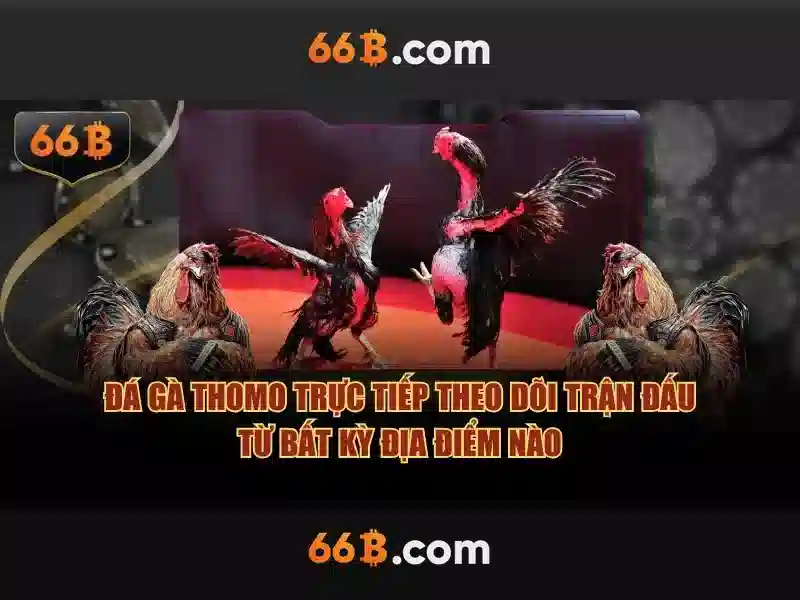 66b: Khái niệm, đặc điểm và tiềm năng ứng dụng