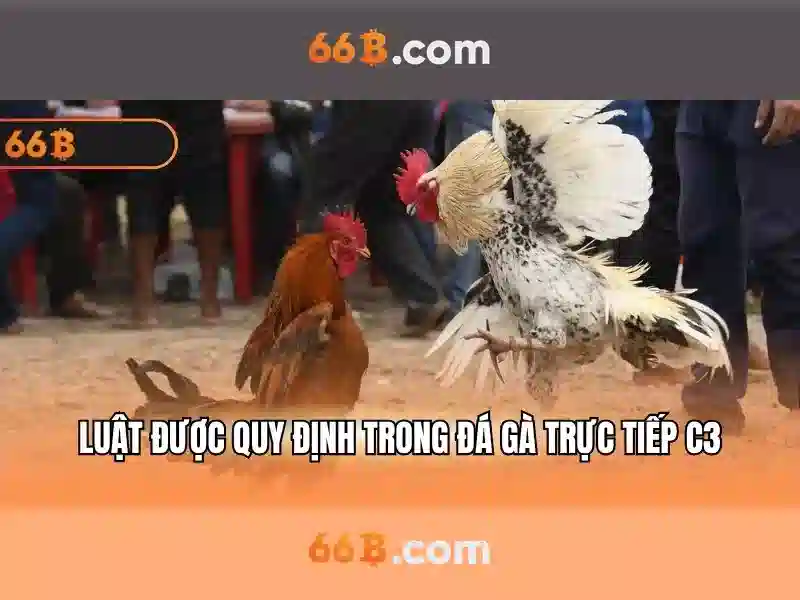 66B: Mô hình ngôn ngữ khổng lồ và hành trình của nó