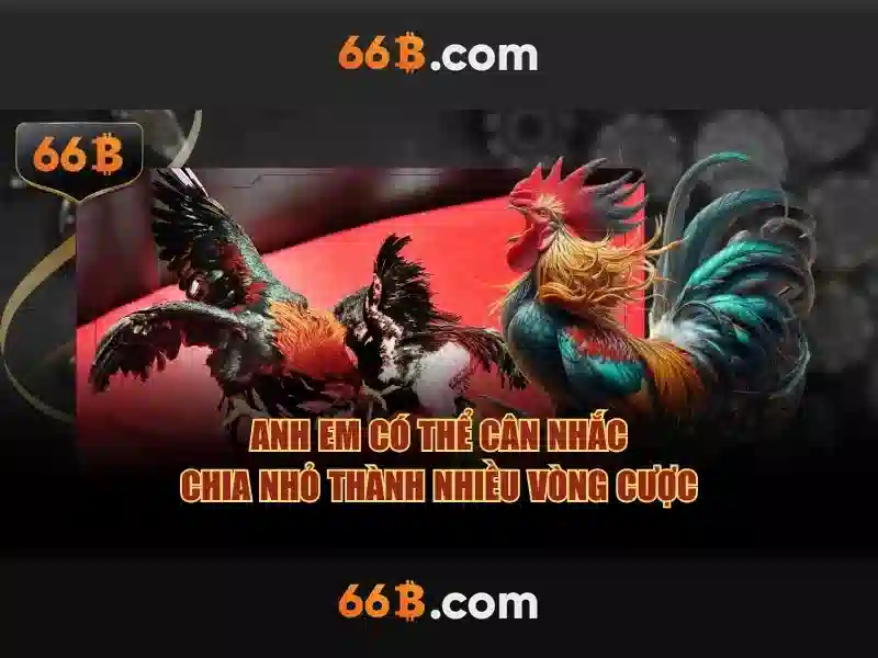 https://www.agroespacio.com/images/text/66b/66b-text26030590.webp