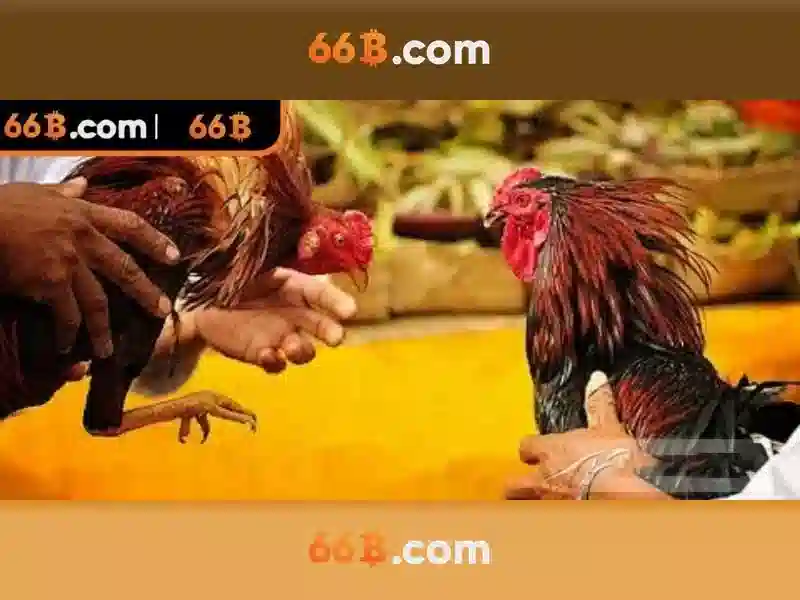 https://www.agroespacio.com/images/text/66b/66b-text260330204.webp