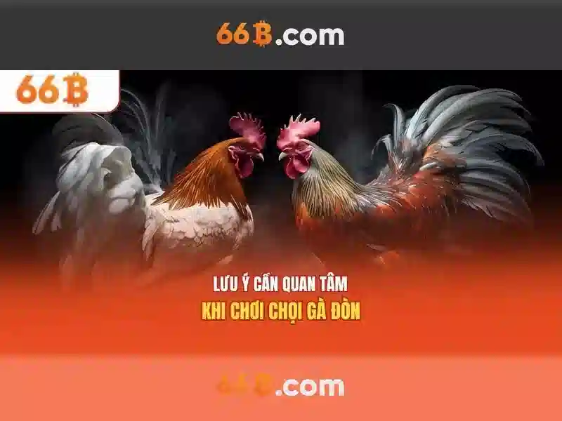 66B: Tổng quan về mô hình ngôn ngữ 66 tỷ tham số