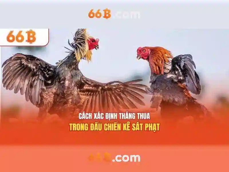 https://www.agroespacio.com/images/text/66b/66b-text260330725.webp