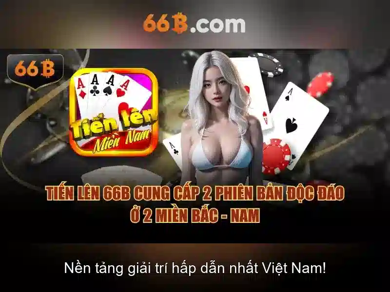 Giới thiệu về 66B