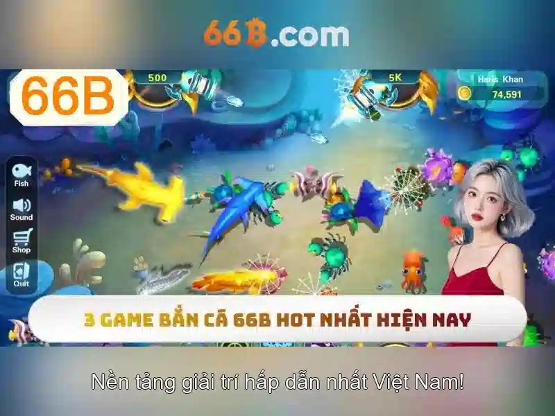 66b - một cái nhìn tổng quan