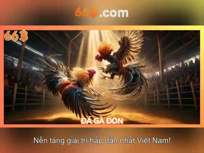66b trong Công nghệ và Thiết kế