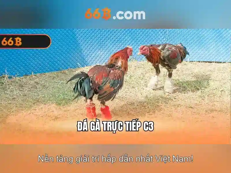 https://www.agroespacio.com/images/text/66b/66b-text260331580.webp