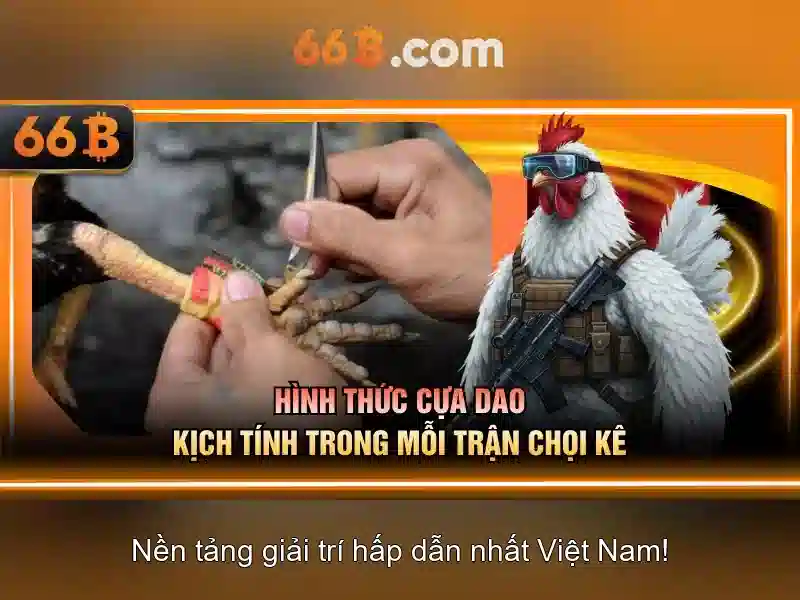 66b: Khái niệm và ứng dụng trong thế giới dữ liệu