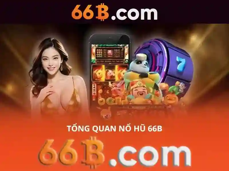 66b là gì và ứng dụng của nó