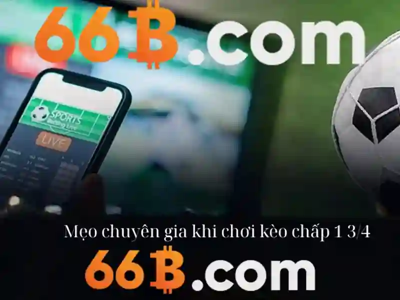 https://www.agroespacio.com/images/text/66b/66b-text520.webp