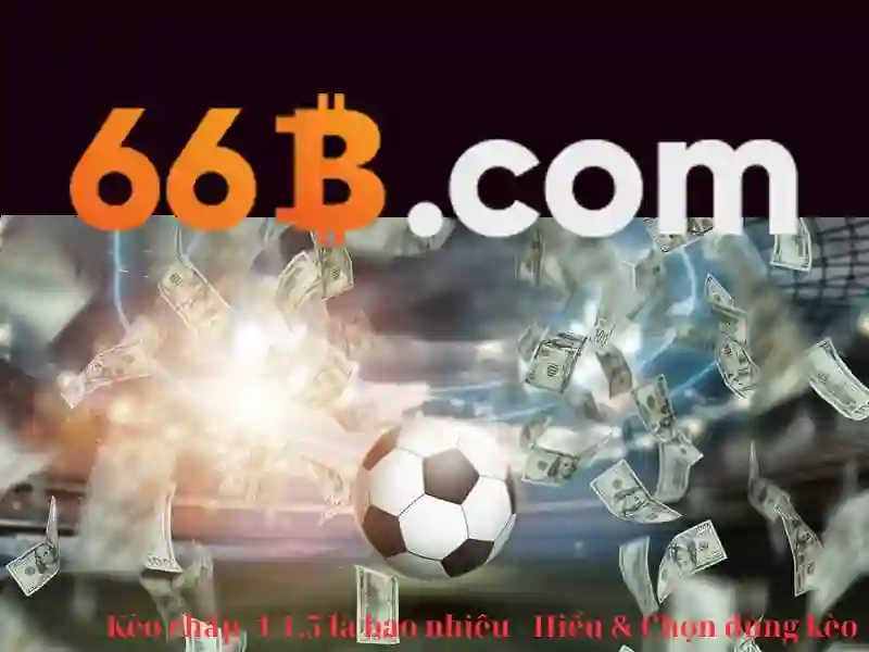 66b là gì và những khía cạnh nổi bật